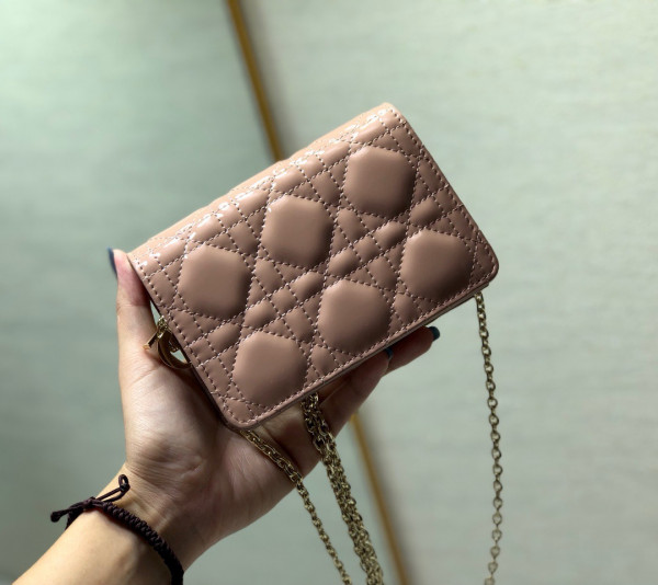 lady D*or nano pouch