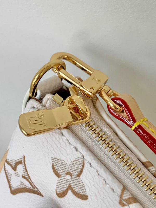 l**is V*t*n maxi multi pochette accessoires