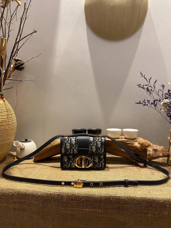 D*or 30 montaigne bag