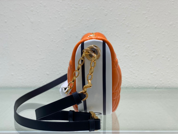 D*or medium vibe hobo bag