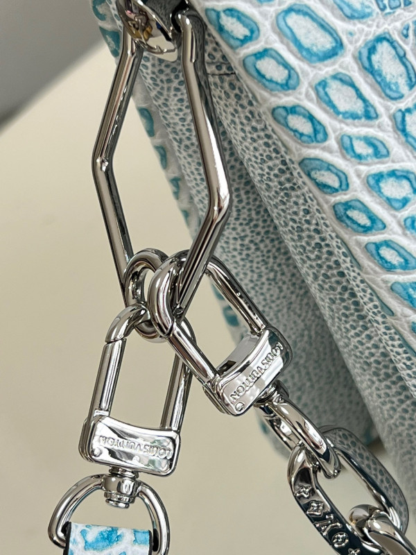 l**is V*t*n coussin pm