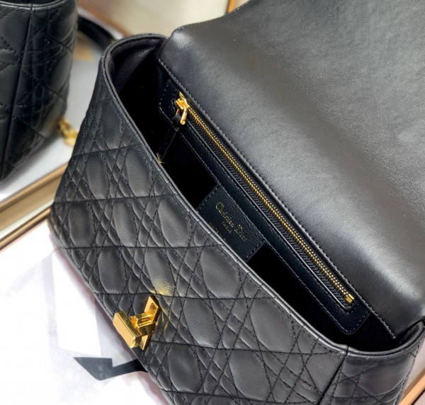 D*or medium D*or caro bag