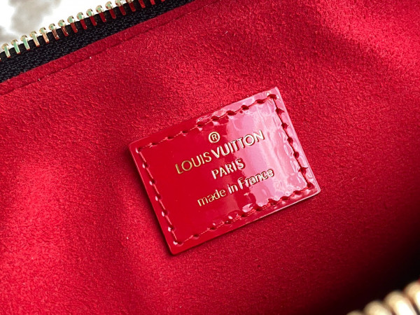 l**is V*t*n coussin pm