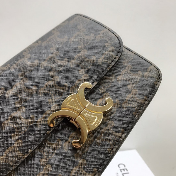 Ce**e nano triomphe bag in triomphe canvas