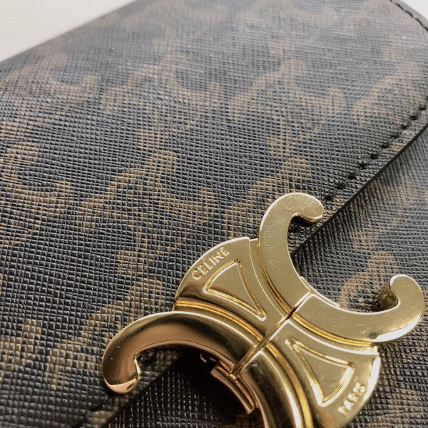 Ce**e nano triomphe bag in triomphe canvas