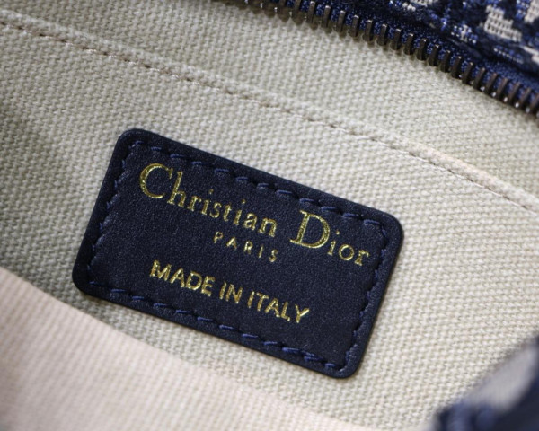 D*or oblique camera bag