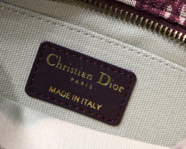 D*or oblique camera bag