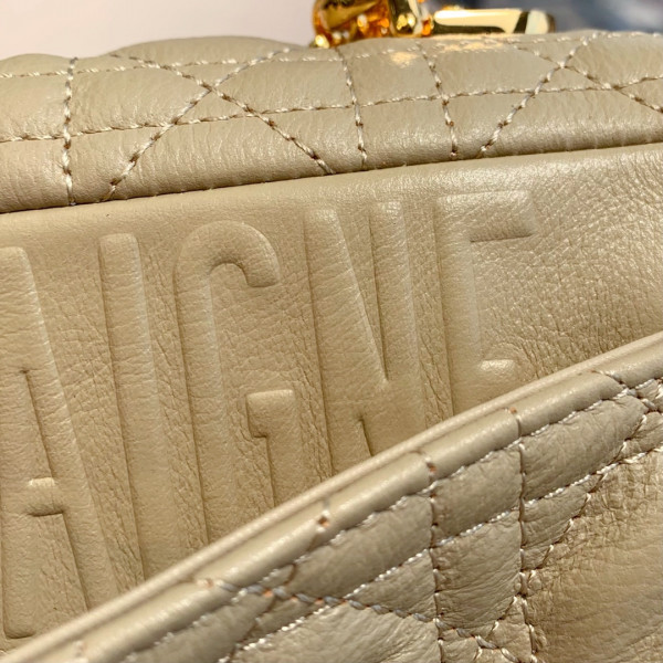 D*or small D*or caro bag