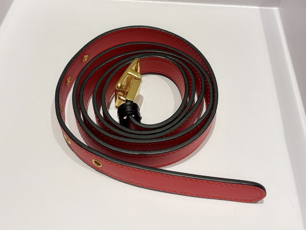 D*or 30 montaigne bag