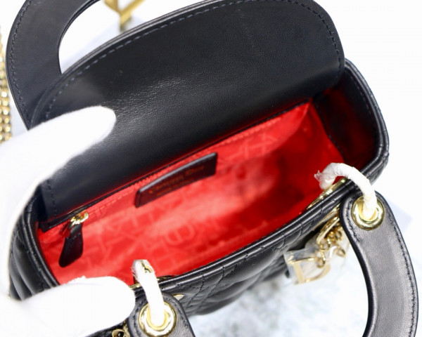 lady D*or mini with lambskin