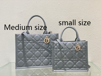 small D*or book tote