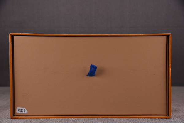 l**is V*t*n sneakers