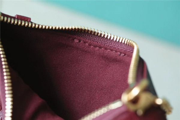 l**is V*t*n easy pouch on strap