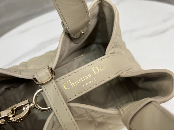 D*or small toujours bag