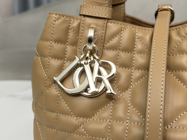 D*or small toujours bag