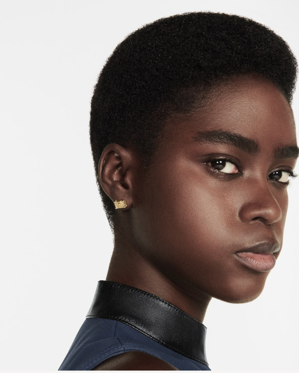 l**is V*t*n earrings