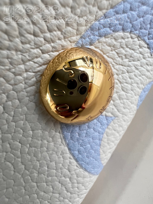 l**is V*t*n carryall pm-29*24*12cm