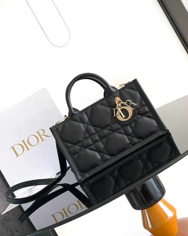 D*or mini book tote-21.5*13*7.5cm