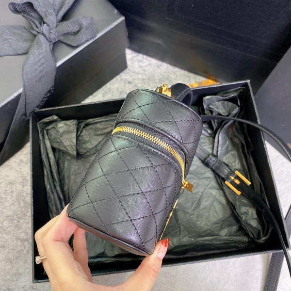 YSL GABY vanity bag in lambskin