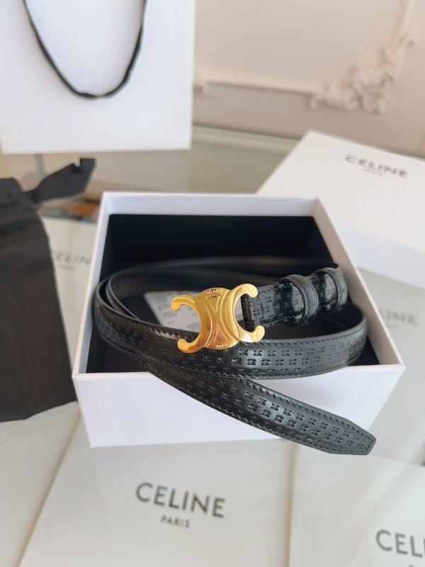 Ce**e belt-gold/silver